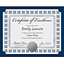 Great Papers Silver Scholar Certificates, 8.5" x 11", Multicolor, 30/Pack (2015074KIT)~#|#~sp114005131_sc7