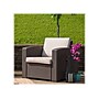 Flash Furniture Seneca Faux Rattan Chair with All-Weather Cushion (DADSF11)~#|#~sp114328368_sc7