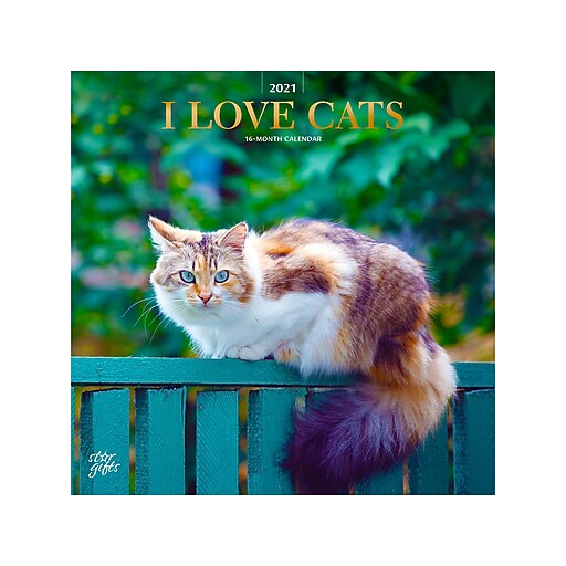 21 Browntrout 12 X 12 Monthly Calendar I Love Cats Multicolor Staples