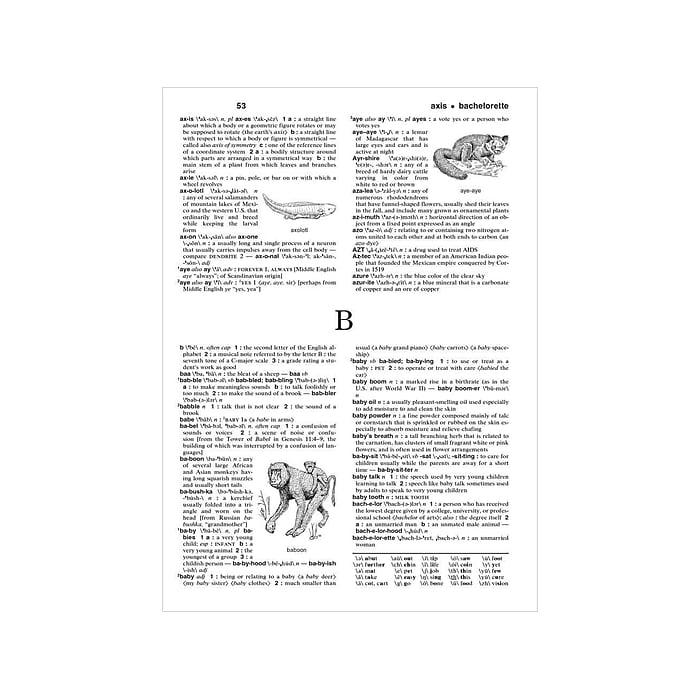 Intermediate Dictionary by Merriam-Webster, Printed Book (978-0