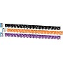 Barker Creek Double-Sided Scalloped Border Set, 36" x 2.25", Halloween, 3 designs, 39/Set (4026)~#|#~sp115121691_sc7