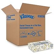 Kleenex Standard Facial Tissue, 2-Ply, White, 125 Sheets/Box, 12 Boxes/Pack (03076)