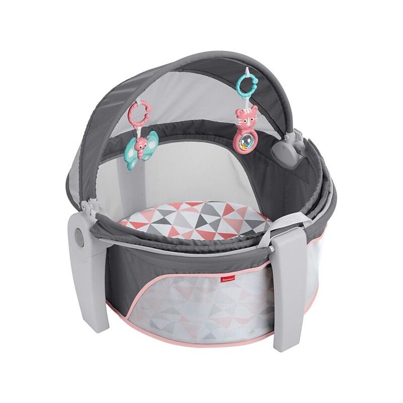 Fisher-Price On-The-Go Baby Dome, Rosy Windmill (FVC25) image 1
