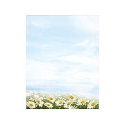 Great Papers! Daisy Day Everyday Letterhead, Multicolor, 80/Pack (2020145)