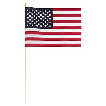 Creative Converting Cloth Flags, 3 Count (DTC04261BFVR)