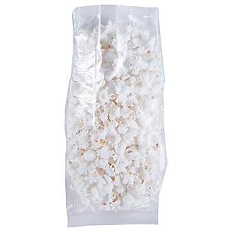 JAM Paper Cello Bags, Large, 4" x 2 1/2" x 9 1/2", Clear, Bulk 100 Bags/Pack (FDA4B)