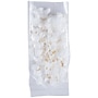 JAM Paper Cello Bags, Small, 2 1/2" x 2" x 6", Clear, Bulk 1000 Bags/Carton (FDA1C)~#|#~sp118566178_sc7