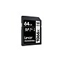 Lexar Professional SILVER 64GB SDXC Memory Card, Class 10, UHS-III (LSD106664G-BNNU)~#|#~sp118668629_sc7