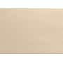 LUX A1 Flat Card 3 1/2 x 4 7/8, Taupe Metallic, 250/Pack (4010-M09-250)~#|#~sp12094031_sc7