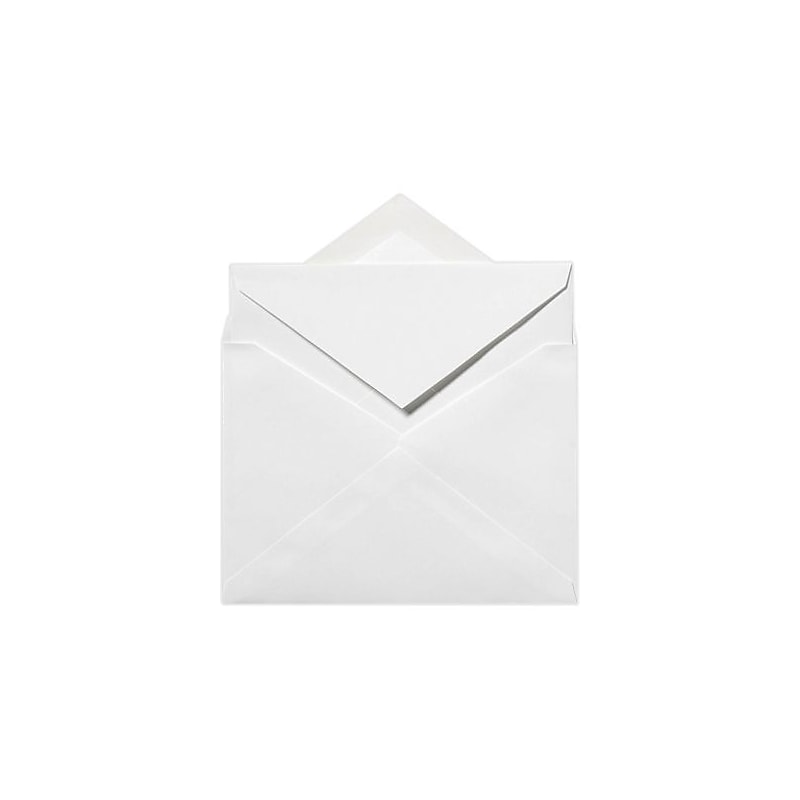 LUX LEE Bar Outer Envelopes, Brilliant White, 500/Pack (LEEOUTER-SBW250) image 1