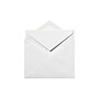 LUX LEE Bar Outer Envelopes, Brilliant White, 500/Pack (LEEOUTER-SBW250)~#|#~sp12094291_sc7