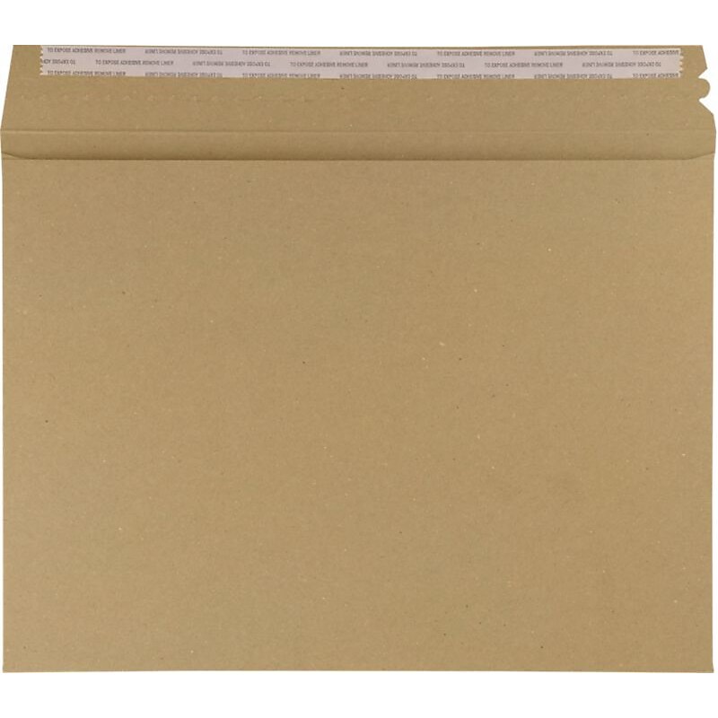 LUX Mailers (9 1/2 x 12 1/2) 250/Pack, Grocery Bag (LUXMLR-GB-250) image 1