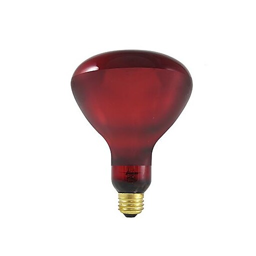 Shop Staples for Bulbrite Incandescent (INC) BR40 250W Dimmable Red