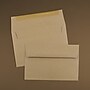 JAM Paper Kraft A9 Invitation Envelopes, 5.75 x 8.75, Brown Kraft Paper Bag, 25/Pack (LEKR875)~#|#~sp121511812_sc7