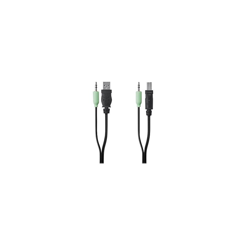 Belkin Secure 10' 3.5mm Audio Speaker Cable, Black (F1D9022b10t) image 1