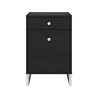 Whalen Asherton 2-Drawer Vertical File Cabinet, Letter/Legal Size, 23.88"H x 15.44"W x 19"D, Inkwood Black (SPUS-ASHF-BM)