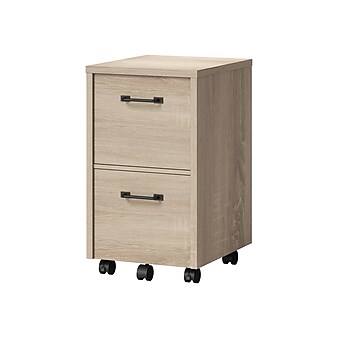 Whalen Dulzura 2-Drawer Mobile Vertical File Cabinet, Letter/Legal Size, 29.25"H x 17"W x 20"D, Warm Brown (SPUS-DZMF-LBM)