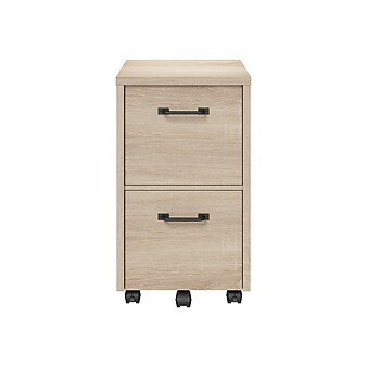 Whalen Dulzura 2-Drawer Mobile Vertical File Cabinet, Letter/Legal Size, 29.25"H x 17"W x 20"D, Warm Brown (SPUS-DZMF-LBM)