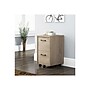 Whalen Dulzura 2-Drawer Mobile Vertical File Cabinet, Letter/Legal Size, 29.25"H x 17"W x 20"D, Warm Brown (SPUS-DZMF-LBM)~#|#~sp122204011_sc7