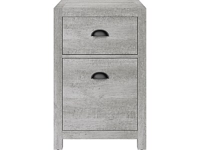 Whalen Fallbrook 2-Drawer Vertical File Cabinet, Letter/Legal Size, 26.25″H x 17″W x 20″D, Smoked Ash (SPUS-FBSF-GM) Sansujyuku sansujyuku.com