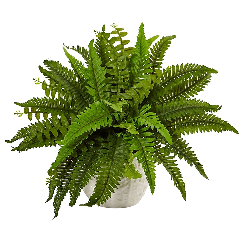 Nearly Natural Boston Fern in White Planter (6308) image 1