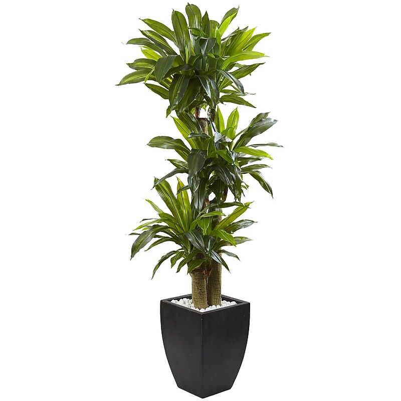 Nearly Natural 5.5’ Corn Stalk Dracaena with Black Wash Planter (6869) image 1