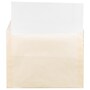 JAM Paper 9 x 12 Booklet Translucent Vellum Envelopes, Spring Ochre Ivory, 25/Pack (1592179)~#|#~sp122682091_sc7