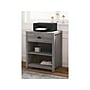 Whalen Fallbrook 2-Shelf Laminate Mobile Printer Stand, Smoked Ash (SPUS-FBPS-GM)~#|#~sp122684235_sc7