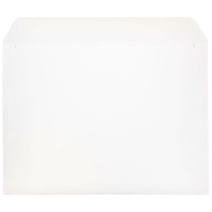 JAM Paper 9.5 x 12.625 Booklet Commercial Envelopes, White, 25