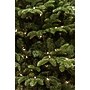 Fraser Hill Farm 9 ft. Foxtail Pine Pre-Lit Artificial Christmas Tree, 1250 Lights (FFFX090-5GR)	~#|#~sp12417556_sc7