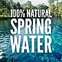 Zephyrhills 100% Natural Spring Water, 16.9 oz. Plastic Bottles, 24/Carton (11475233)~#|#~sp124210474_sc7