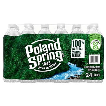 Poland Spring 100% Natural Spring Water, Regular Flavor, 16.9 oz., 24/Carton (12119419)