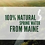 Poland Spring 100% Natural Spring Water, Regular Flavor, 16.9 oz., 24/Carton (12119419)~#|#~sp124210494_sc7