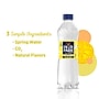 Deer Park Lemon Flavored Sparkling Water, 16.9 oz., 24 Bottles/Carton (12349497/122056)~#|#~sp124210519_sc7