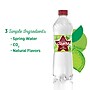 Ozarka Sparkling Water, Zesty Lime, 16.9 oz. Bottles, 24/Carton (12349550)~#|#~sp124210768_sc7