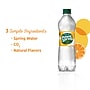 Poland Spring Orange Flavored Sparkling Water, 16.9 oz., 24/Carton (12349571/122060)~#|#~sp124211196_sc7