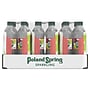 Poland Spring Raspberry Lime Flavored Sparkling Water, 16.9 oz., 24/Carton (12349573/122058)~#|#~sp124211203_sc7