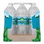 Zephyrhills 100% Natural Spring Water, 33.8 oz., 15 Bottles/Carton (11475332)~#|#~sp124211488_sc7
