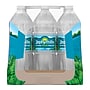 Zephyrhills 100% Natural Spring Water, 33.8 oz., 15 Bottles/Carton (11475332)~#|#~sp124211489_sc7