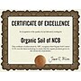 Great Papers Cambridge Certificates, 8.5" x 11", Beige/Gold, 10/Pack (2020004)~#|#~sp124313793_sc7