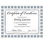 Great Papers Silver Scholar Certificates, 8.5" x 11", Silver and White 15/Count (2015074)~#|#~sp124313808_sc7