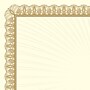 Great Papers Value Certificates, 8.5" x 11", Metallic Gold, 100/Pack (961035S)~#|#~sp124313847_sc7