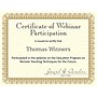 Great Papers Value Certificates, 8.5" x 11", Metallic Gold, 100/Pack (961035S)~#|#~sp124313848_sc7
