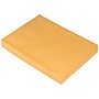 JAM Paper Peel & Seal Kraft Open End #13 Catalog Envelope, 10" x 13", Brown, 500/Pack (13034233C)~#|#~sp124518857_sc7