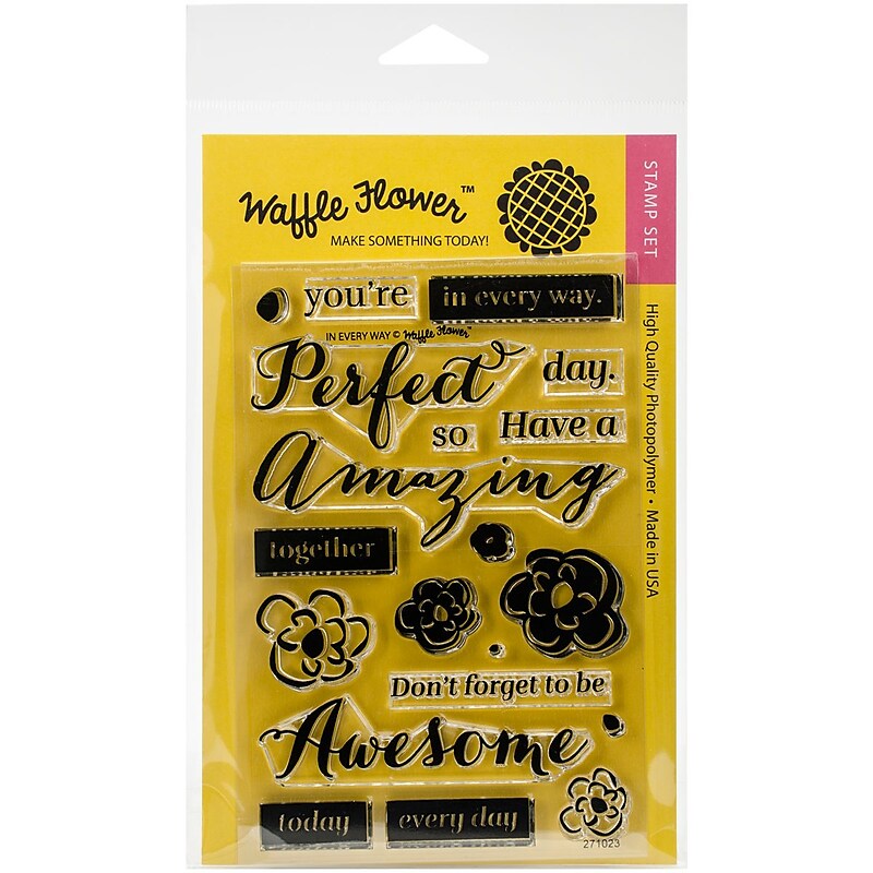 Waffle Flower Crafts Clear Stamps 4"X6"-In Every Way image 1