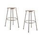 NPS 6200 Series 30" Heavy Duty Steel Stool, Gray , 2/Pack (6230/2)~#|#~sp125996039_sc7