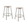 NPS 6200 Series 24" Heavy Duty Steel Stool, Gray, 2/Pack (6224/2)~#|#~sp125996055_sc7