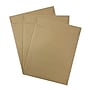 JAM Paper Open End Catalog Envelopes with Clasp Closure, 10" x 13", Brown Kraft, 10/Pack (563120854D)~#|#~sp126919056_sc7