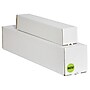 Tape Logic 2" Circle "NOV" Months of the Year Label, Fluorescent Green, 500/Roll~#|#~sp127287398_sc7
