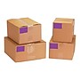 Tape Logic 4" x 6" Rectangle Inventory Label, Purple, 500/Roll~#|#~sp127288562_sc7